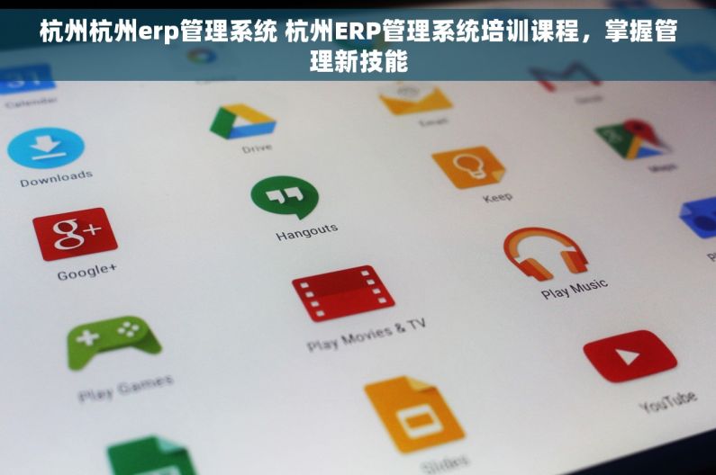 杭州杭州erp管理系统 杭州ERP管理系统培训课程，掌握管理新技能