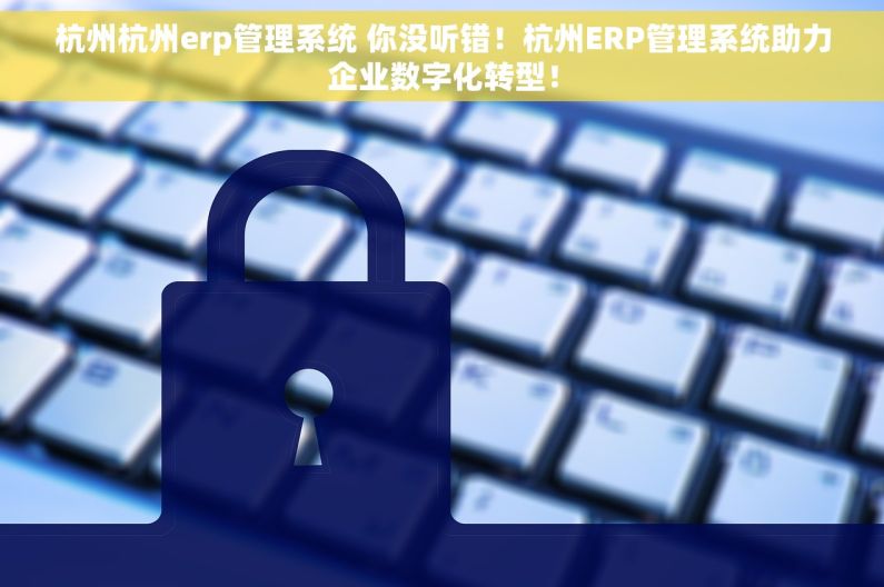 杭州杭州erp管理系统 你没听错！杭州ERP管理系统助力企业数字化转型！