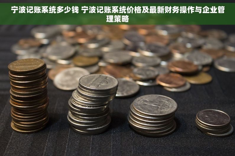 宁波记账系统多少钱 宁波记账系统价格及最新财务操作与企业管理策略