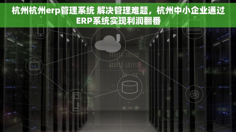 杭州杭州erp管理系统 解决管理难题，杭州中小企业通过ERP系统实现利润翻番