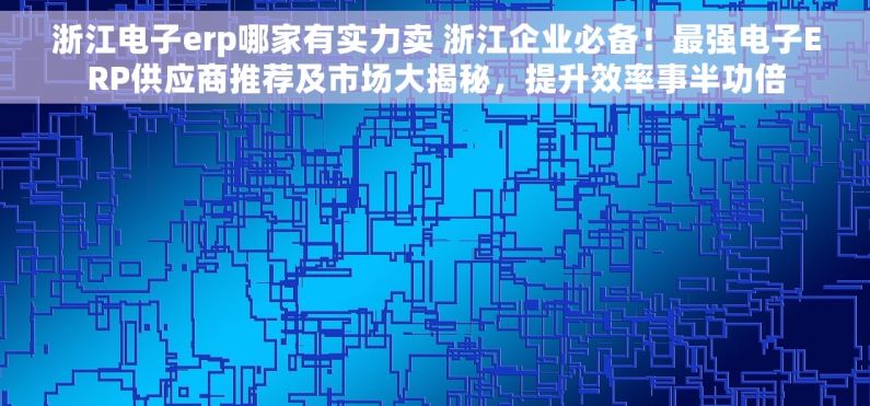 浙江电子erp哪家有实力卖 浙江企业必备！最强电子ERP供应商推荐及市场大揭秘，提升效率事半功倍