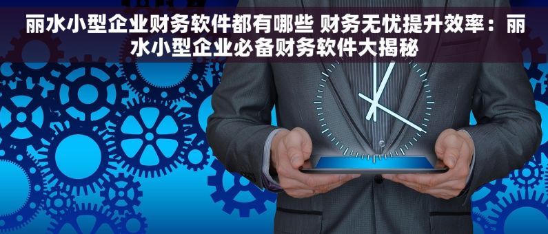 丽水小型企业财务软件都有哪些 财务无忧提升效率：丽水小型企业必备财务软件大揭秘