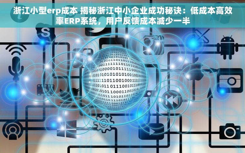 浙江小型erp成本 揭秘浙江中小企业成功秘诀：低成本高效率ERP系统，用户反馈成本减少一半