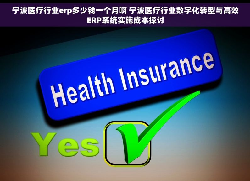 宁波医疗行业erp多少钱一个月啊 宁波医疗行业数字化转型与高效ERP系统实施成本探讨