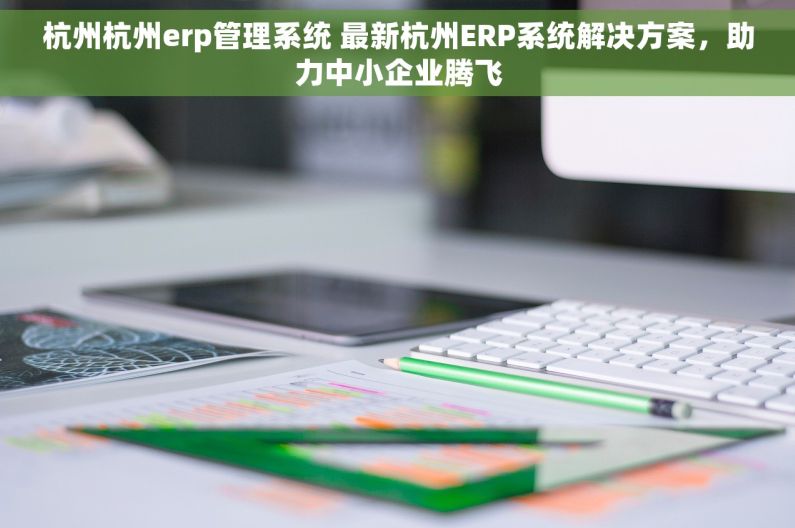 杭州杭州erp管理系统 最新杭州ERP系统解决方案，助力中小企业腾飞