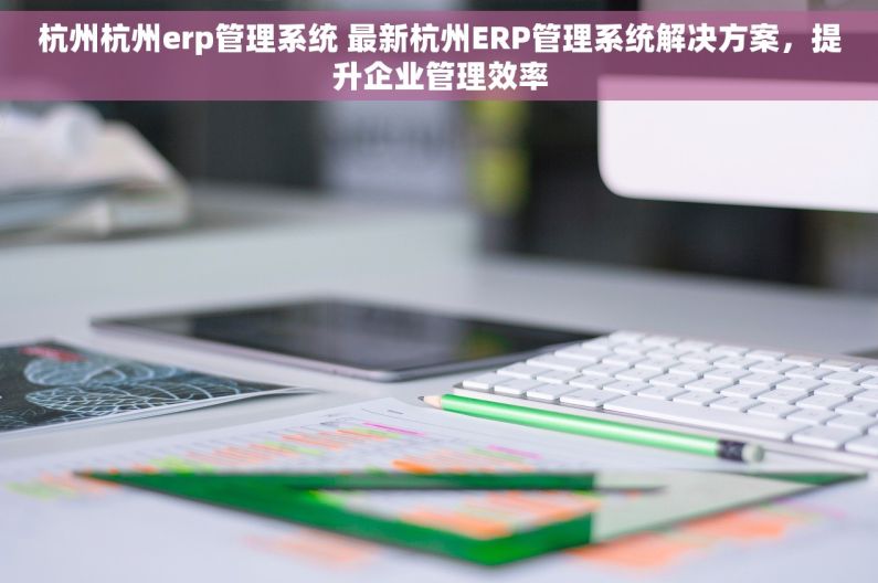 杭州杭州erp管理系统 最新杭州ERP管理系统解决方案，提升企业管理效率