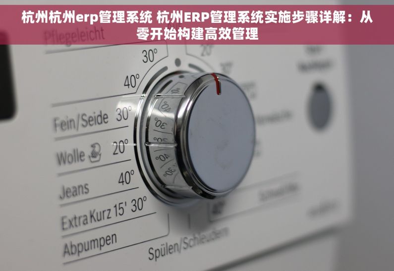 杭州杭州erp管理系统 杭州ERP管理系统实施步骤详解：从零开始构建高效管理