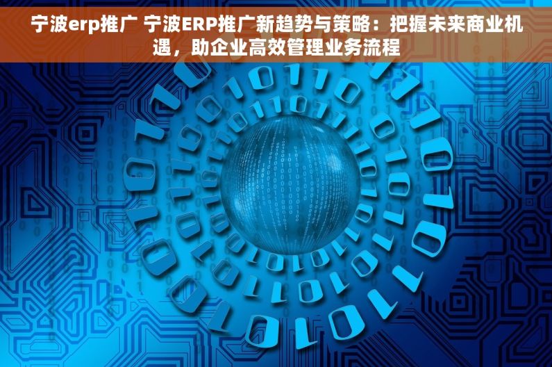 宁波erp推广 宁波ERP推广新趋势与策略：把握未来商业机遇，助企业高效管理业务流程