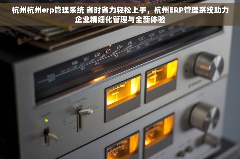 杭州杭州erp管理系统 省时省力轻松上手，杭州ERP管理系统助力企业精细化管理与全新体验