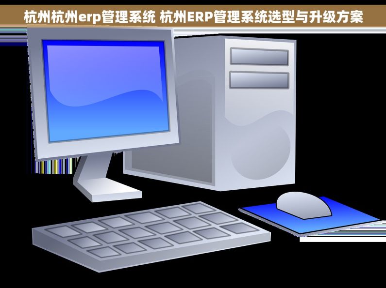 杭州杭州erp管理系统 杭州ERP管理系统选型与升级方案