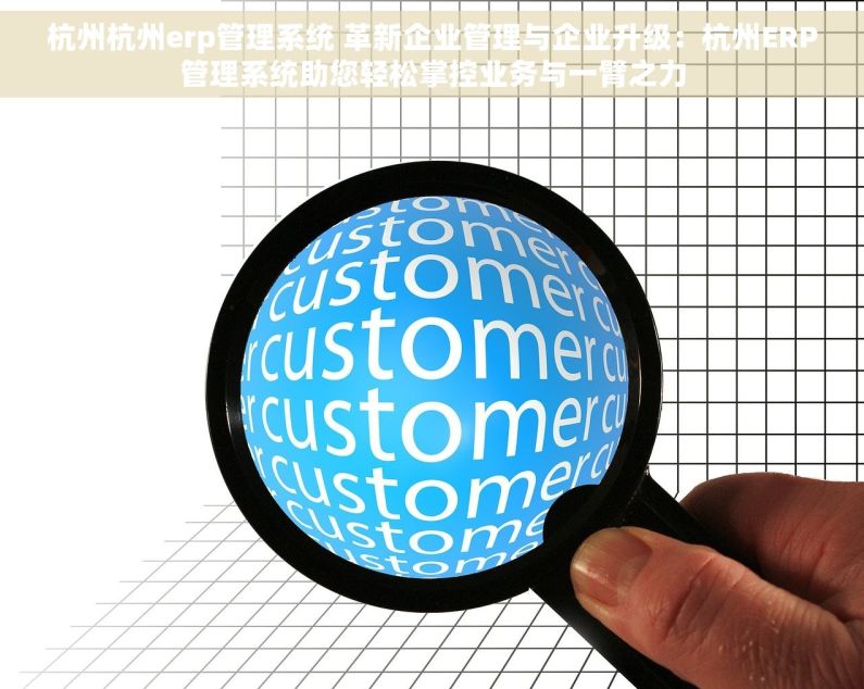 杭州杭州erp管理系统 革新企业管理与企业升级：杭州ERP管理系统助您轻松掌控业务与一臂之力