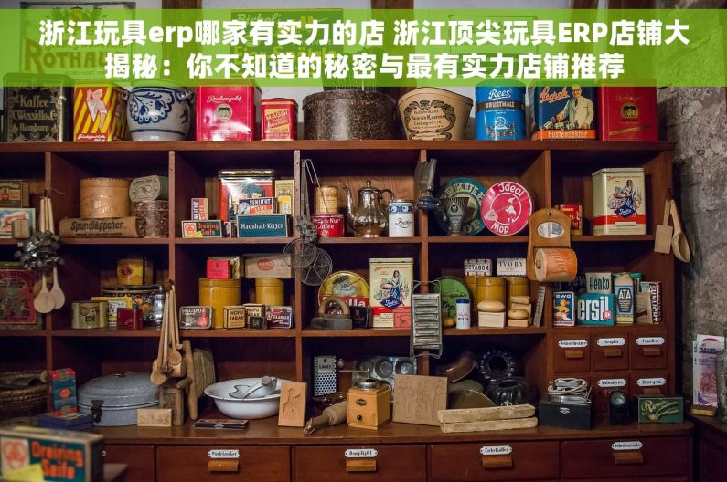 浙江玩具erp哪家有实力的店 浙江顶尖玩具ERP店铺大揭秘：你不知道的秘密与最有实力店铺推荐