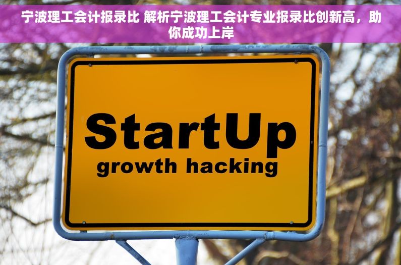 宁波理工会计报录比 解析宁波理工会计专业报录比创新高，助你成功上岸