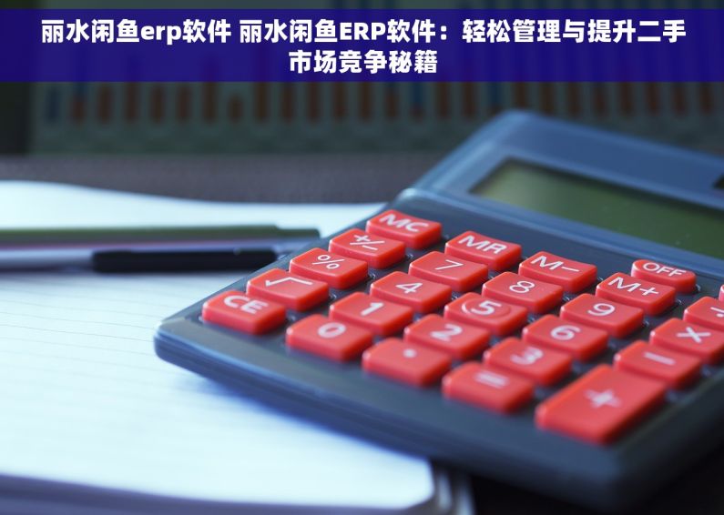 丽水闲鱼erp软件 丽水闲鱼ERP软件：轻松管理与提升二手市场竞争秘籍