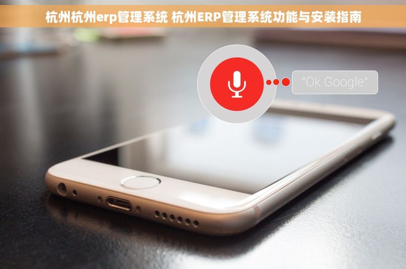 杭州杭州erp管理系统 杭州ERP管理系统功能与安装指南