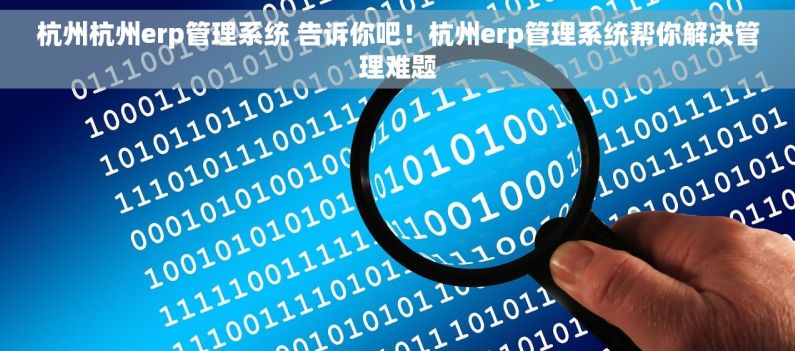 杭州杭州erp管理系统 告诉你吧！杭州erp管理系统帮你解决管理难题
