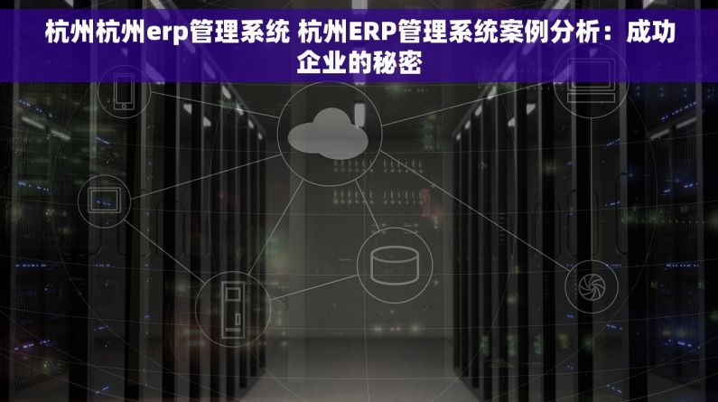 杭州杭州erp管理系统 杭州ERP管理系统案例分析：成功企业的秘密