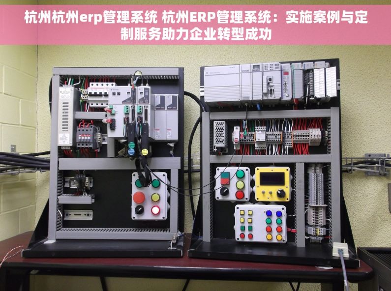 杭州杭州erp管理系统 杭州ERP管理系统：实施案例与定制服务助力企业转型成功
