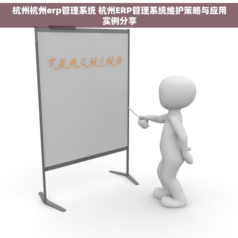 杭州杭州erp管理系统 杭州ERP管理系统维护策略与应用实例分享