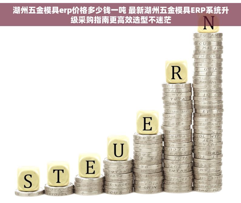 湖州五金模具erp价格多少钱一吨 最新湖州五金模具ERP系统升级采购指南更高效选型不迷茫