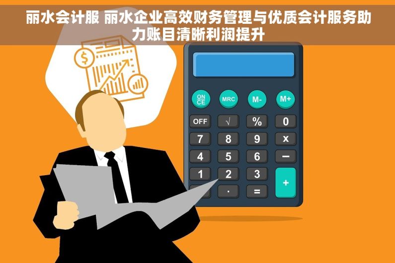 丽水会计服 丽水企业高效财务管理与优质会计服务助力账目清晰利润提升