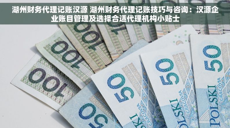 湖州财务代理记账汉源 湖州财务代理记账技巧与咨询：汉源企业账目管理及选择合适代理机构小贴士