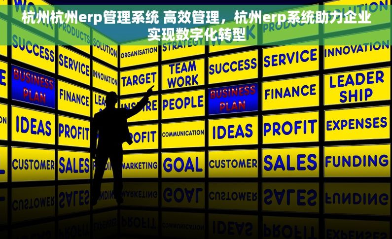杭州杭州erp管理系统 高效管理，杭州erp系统助力企业实现数字化转型