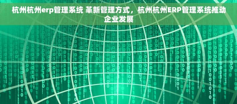 杭州杭州erp管理系统 革新管理方式，杭州杭州ERP管理系统推动企业发展
