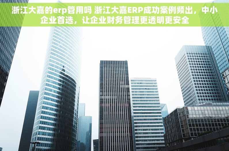 浙江大嘉的erp管用吗 浙江大嘉ERP成功案例频出，中小企业首选，让企业财务管理更透明更安全