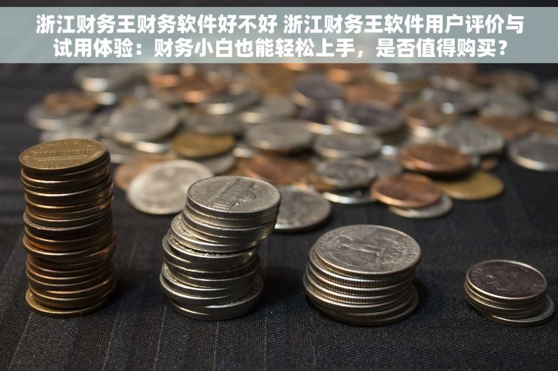 浙江财务王财务软件好不好 浙江财务王软件用户评价与试用体验：财务小白也能轻松上手，是否值得购买？