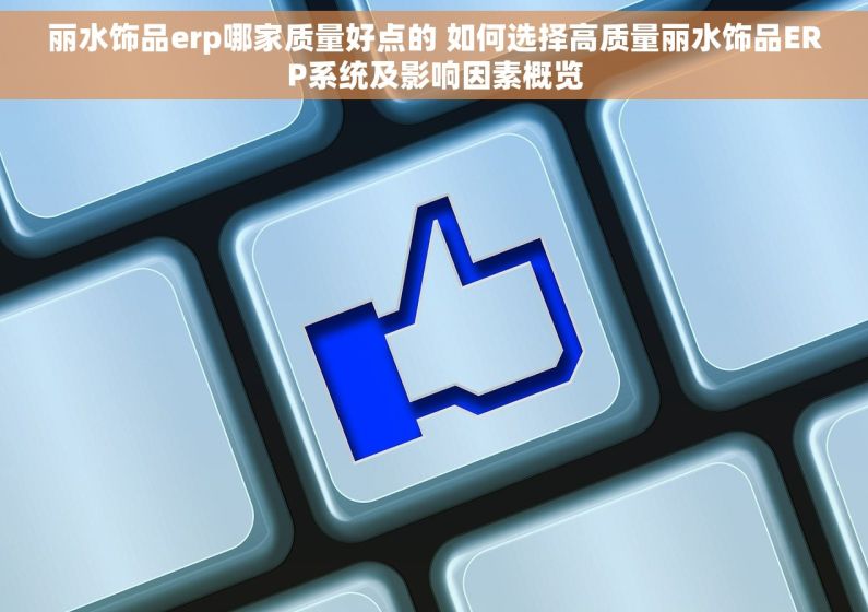 丽水饰品erp哪家质量好点的 如何选择高质量丽水饰品ERP系统及影响因素概览