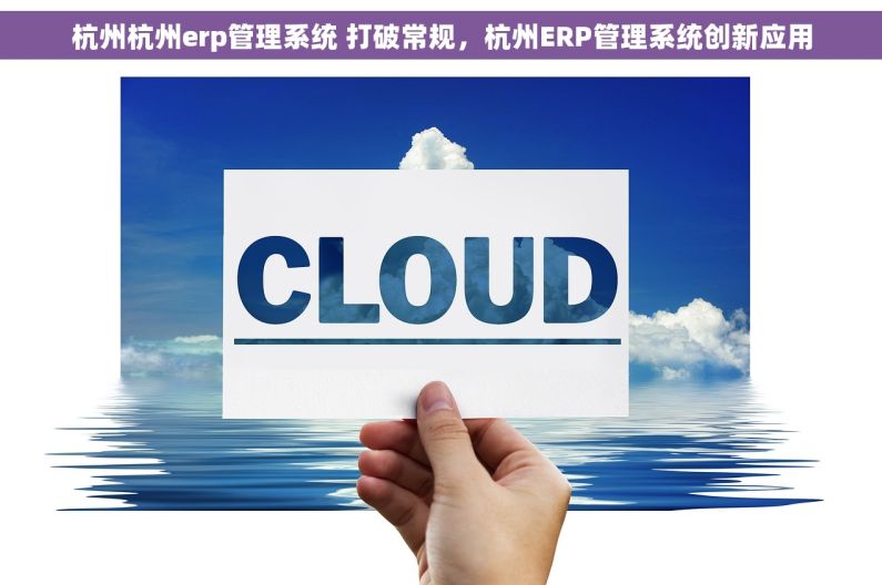 杭州杭州erp管理系统 打破常规，杭州ERP管理系统创新应用