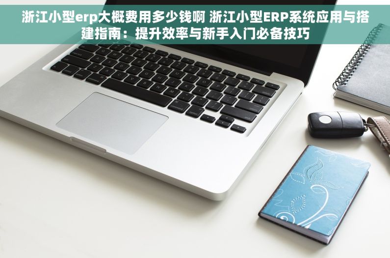 浙江小型erp大概费用多少钱啊 浙江小型ERP系统应用与搭建指南：提升效率与新手入门必备技巧