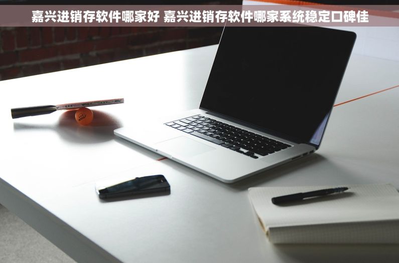 嘉兴进销存软件哪家好 嘉兴进销存软件哪家系统稳定口碑佳