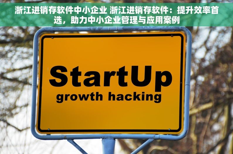 浙江进销存软件中小企业 浙江进销存软件：提升效率首选，助力中小企业管理与应用案例