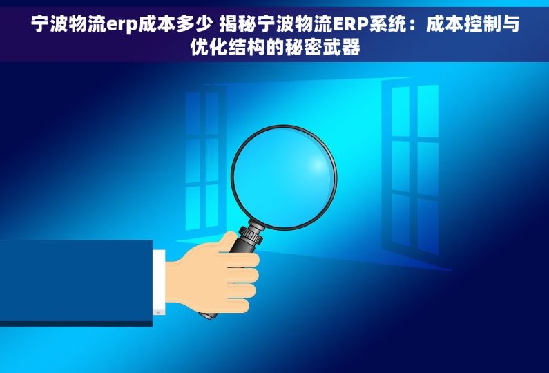 宁波物流erp成本多少 揭秘宁波物流ERP系统：成本控制与优化结构的秘密武器