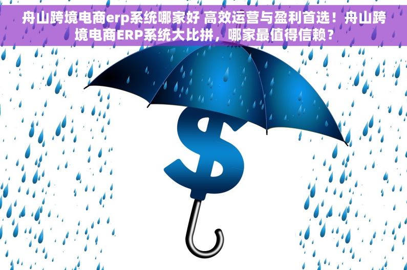 舟山跨境电商erp系统哪家好 高效运营与盈利首选！舟山跨境电商ERP系统大比拼，哪家最值得信赖？
