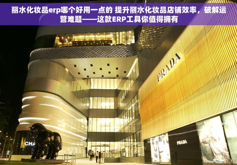丽水化妆品erp哪个好用一点的 提升丽水化妆品店铺效率，破解运营难题——这款ERP工具你值得拥有