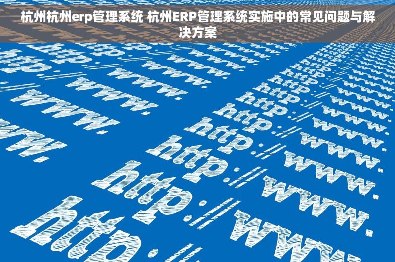 杭州杭州erp管理系统 杭州ERP管理系统实施中的常见问题与解决方案