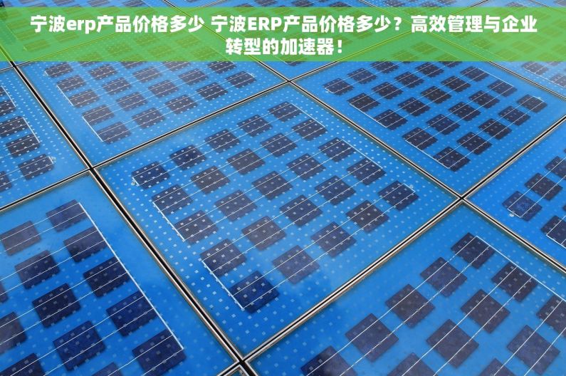 宁波erp产品价格多少 宁波ERP产品价格多少？高效管理与企业转型的加速器！