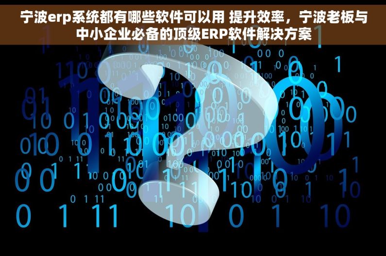 宁波erp系统都有哪些软件可以用 提升效率，宁波老板与中小企业必备的顶级ERP软件解决方案