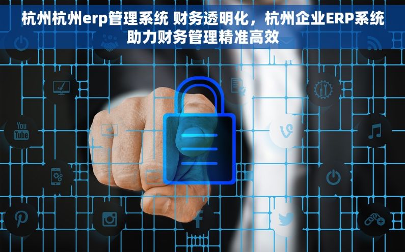杭州杭州erp管理系统 财务透明化，杭州企业ERP系统助力财务管理精准高效