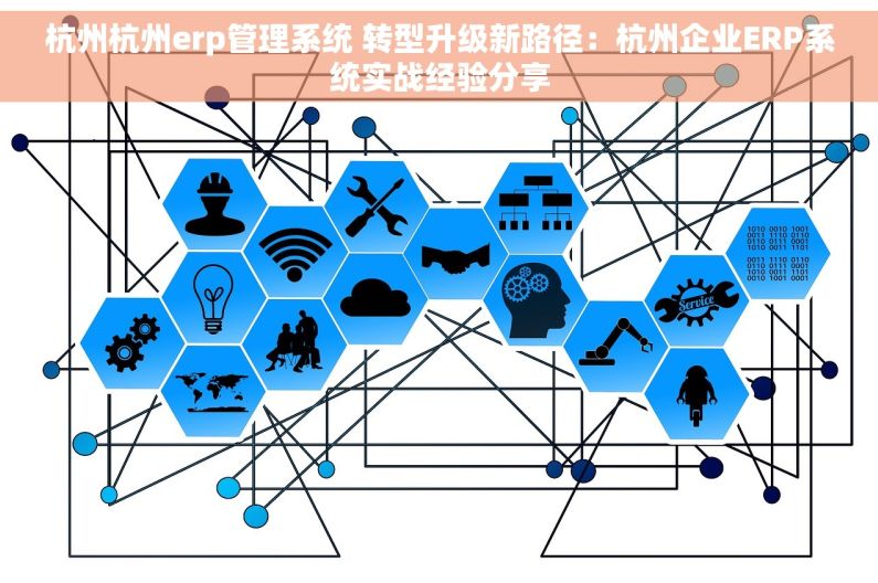 杭州杭州erp管理系统 转型升级新路径：杭州企业ERP系统实战经验分享