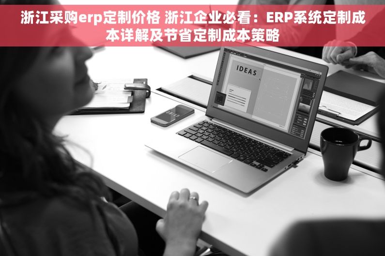 浙江采购erp定制价格 浙江企业必看：ERP系统定制成本详解及节省定制成本策略