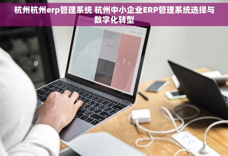 杭州杭州erp管理系统 杭州中小企业ERP管理系统选择与数字化转型