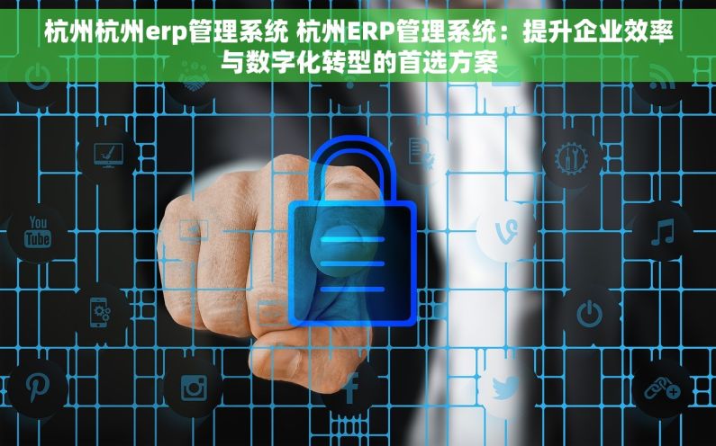 杭州杭州erp管理系统 杭州ERP管理系统：提升企业效率与数字化转型的首选方案