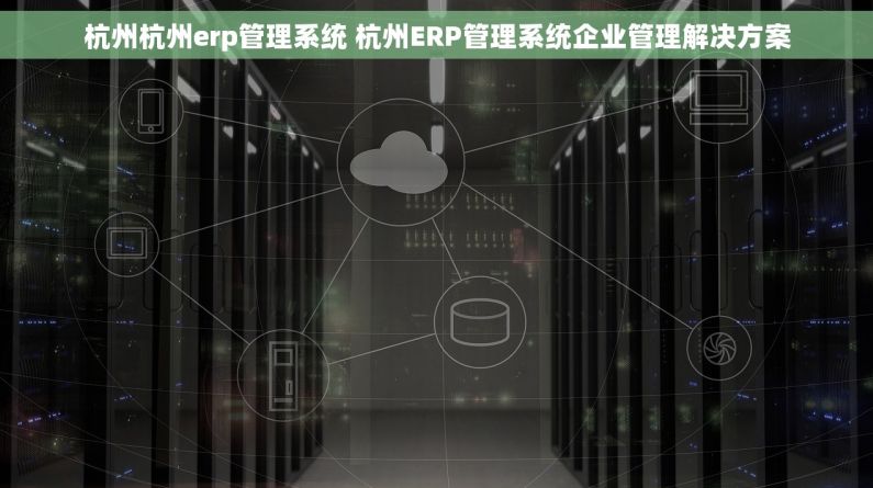 杭州杭州erp管理系统 杭州ERP管理系统企业管理解决方案