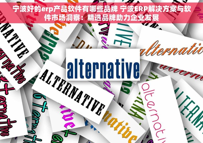 宁波好的erp产品软件有哪些品牌 宁波ERP解决方案与软件市场洞察：精选品牌助力企业发展