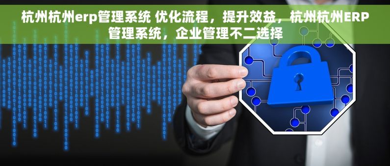 杭州杭州erp管理系统 优化流程，提升效益，杭州杭州ERP管理系统，企业管理不二选择