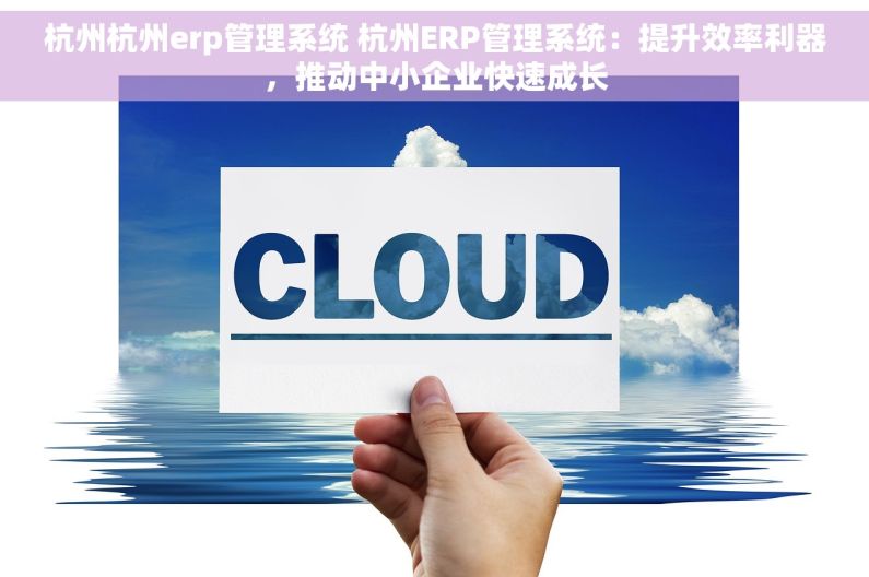 杭州杭州erp管理系统 杭州ERP管理系统：提升效率利器，推动中小企业快速成长